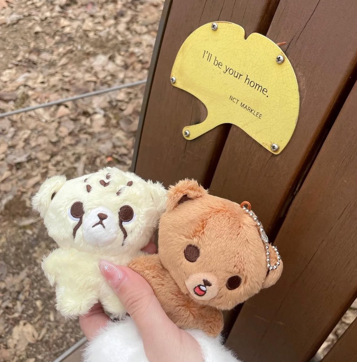 lyn ♡ 🐯ྀི 🐻ྀི tweet media