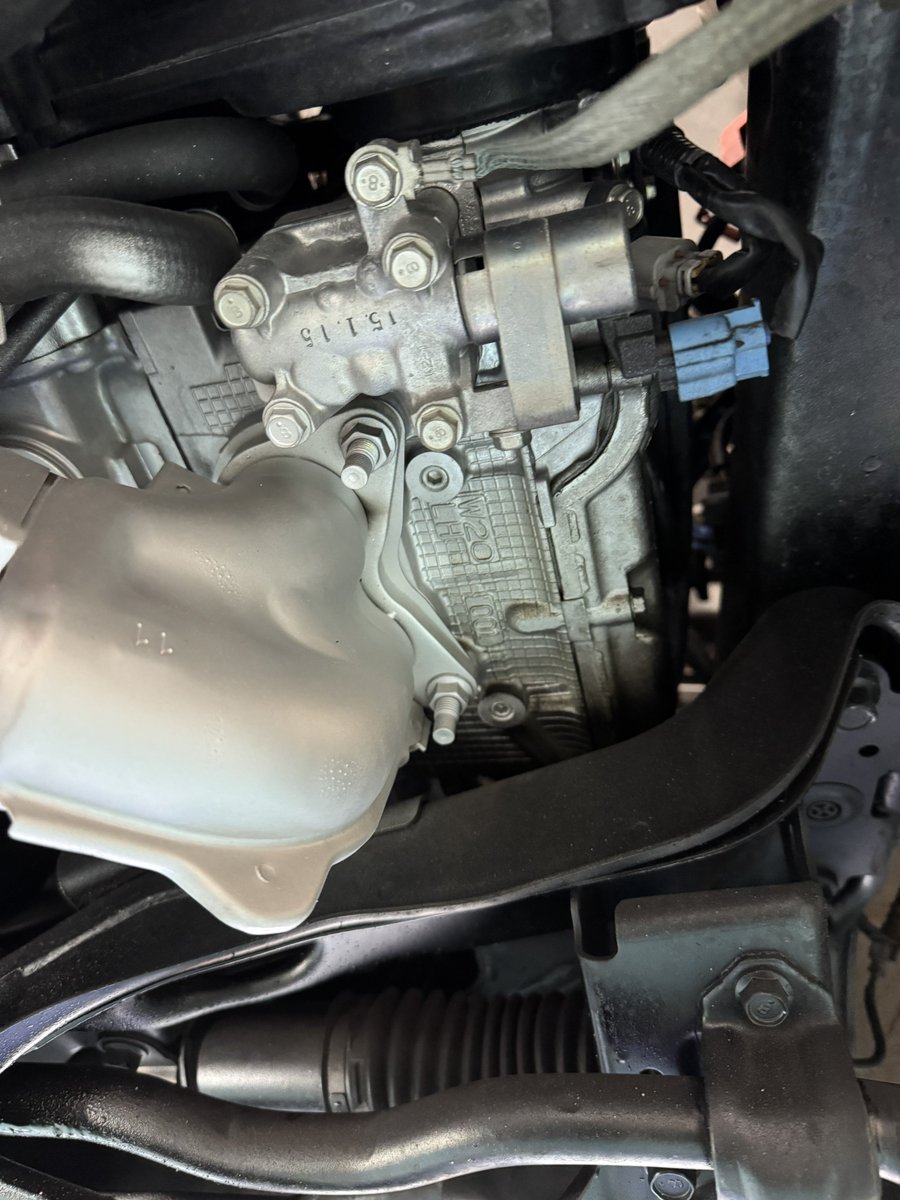 ドンガメ tweet media