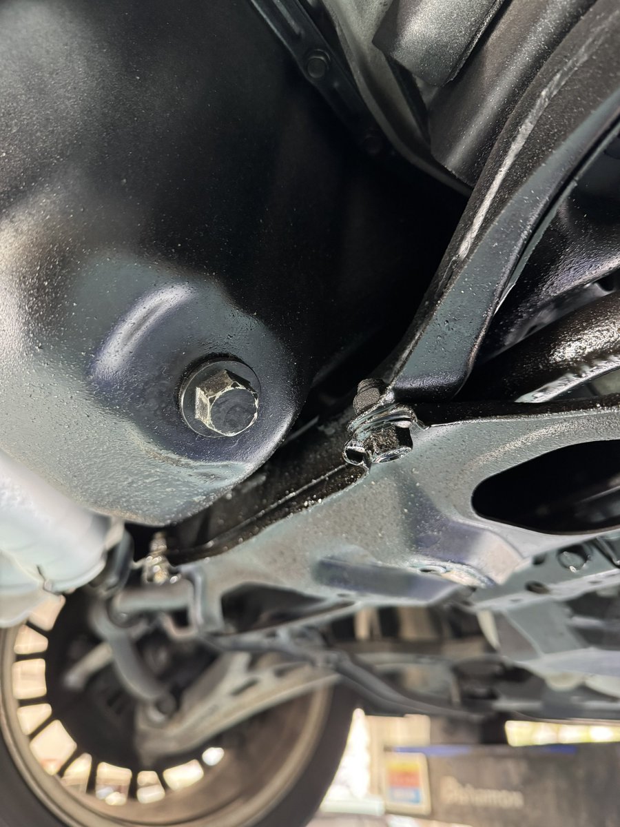 ドンガメ tweet media