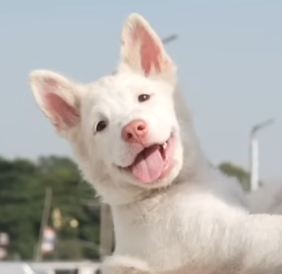 จัสแมงงงง tweet media