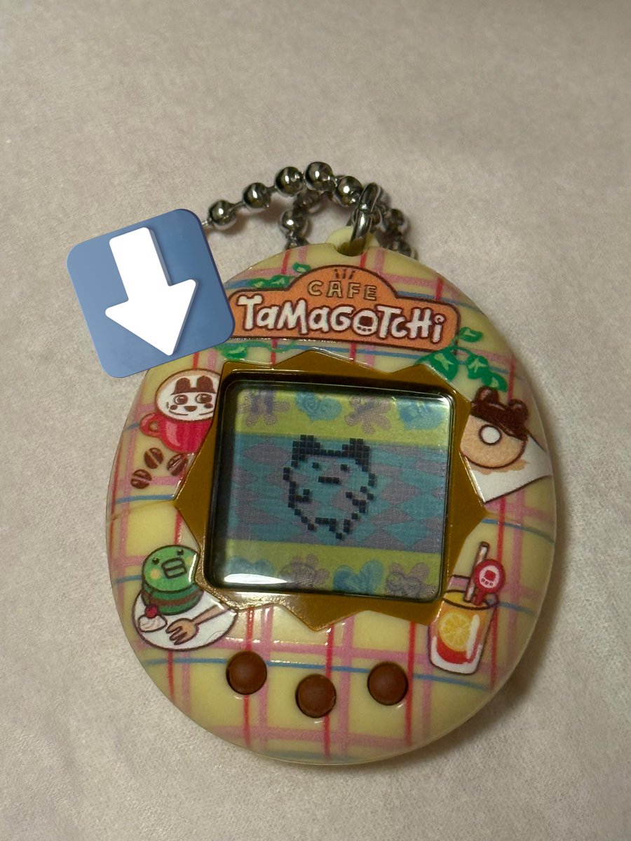 くましゅ tweet media