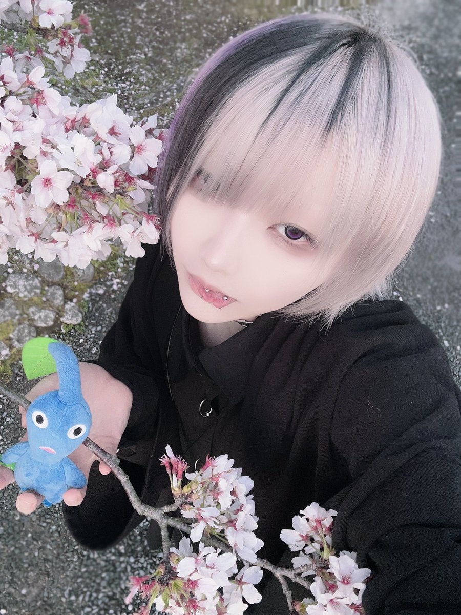 専用◡̈⃝︎⋆︎* 6点 ⠀ ⊂⊃ ᘏ⑅ᘏ ｡ﾟﾟ・｡・ﾟﾟ꒰𓂂ɞ̴̶̷ · ɞ̴̶̷𓂂꒱ ഒ ﾟ