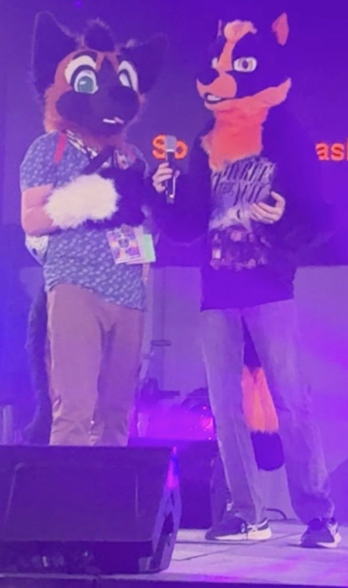 Link! 🐾 tweet media