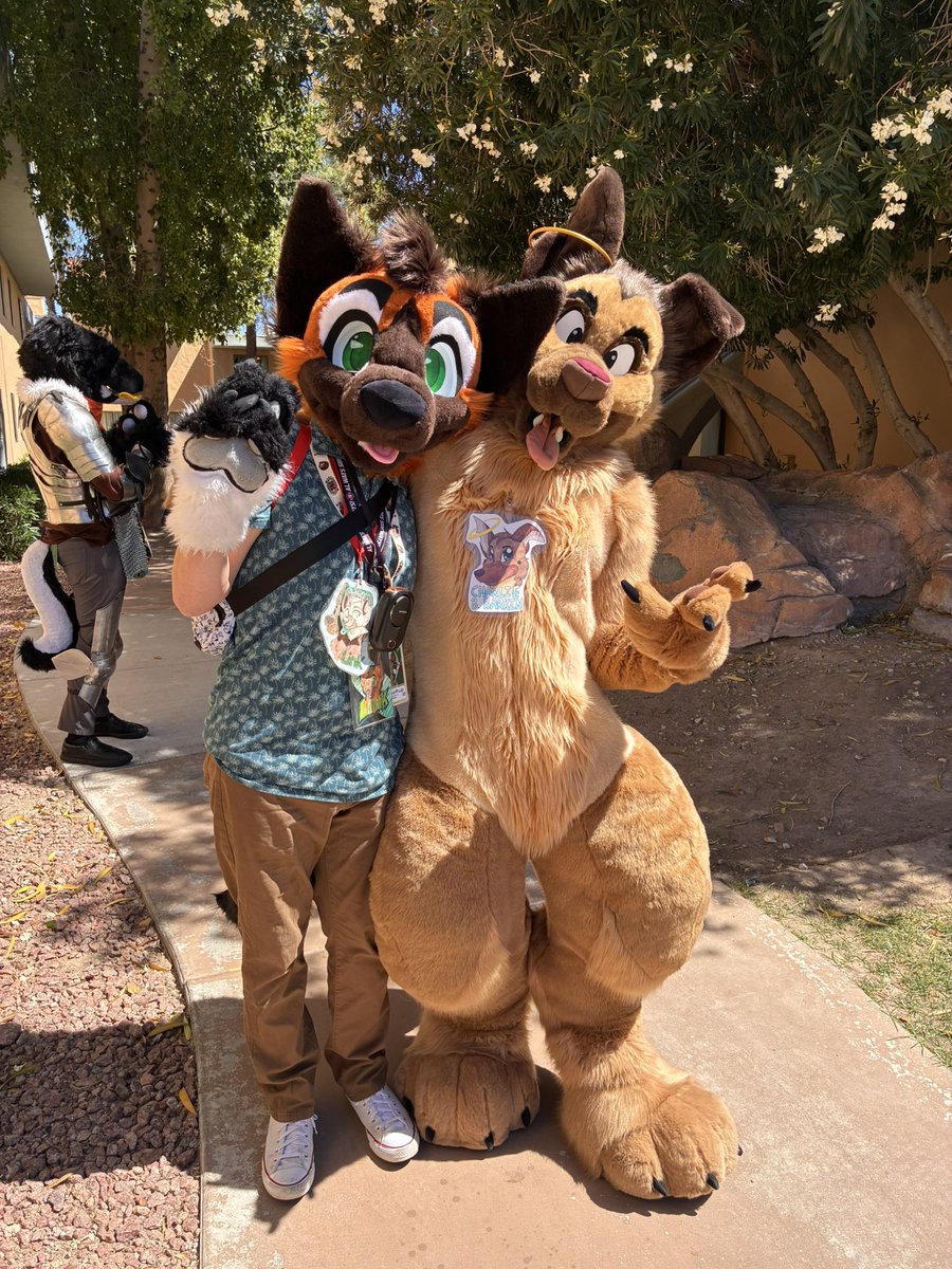 Link! 🐾 tweet media