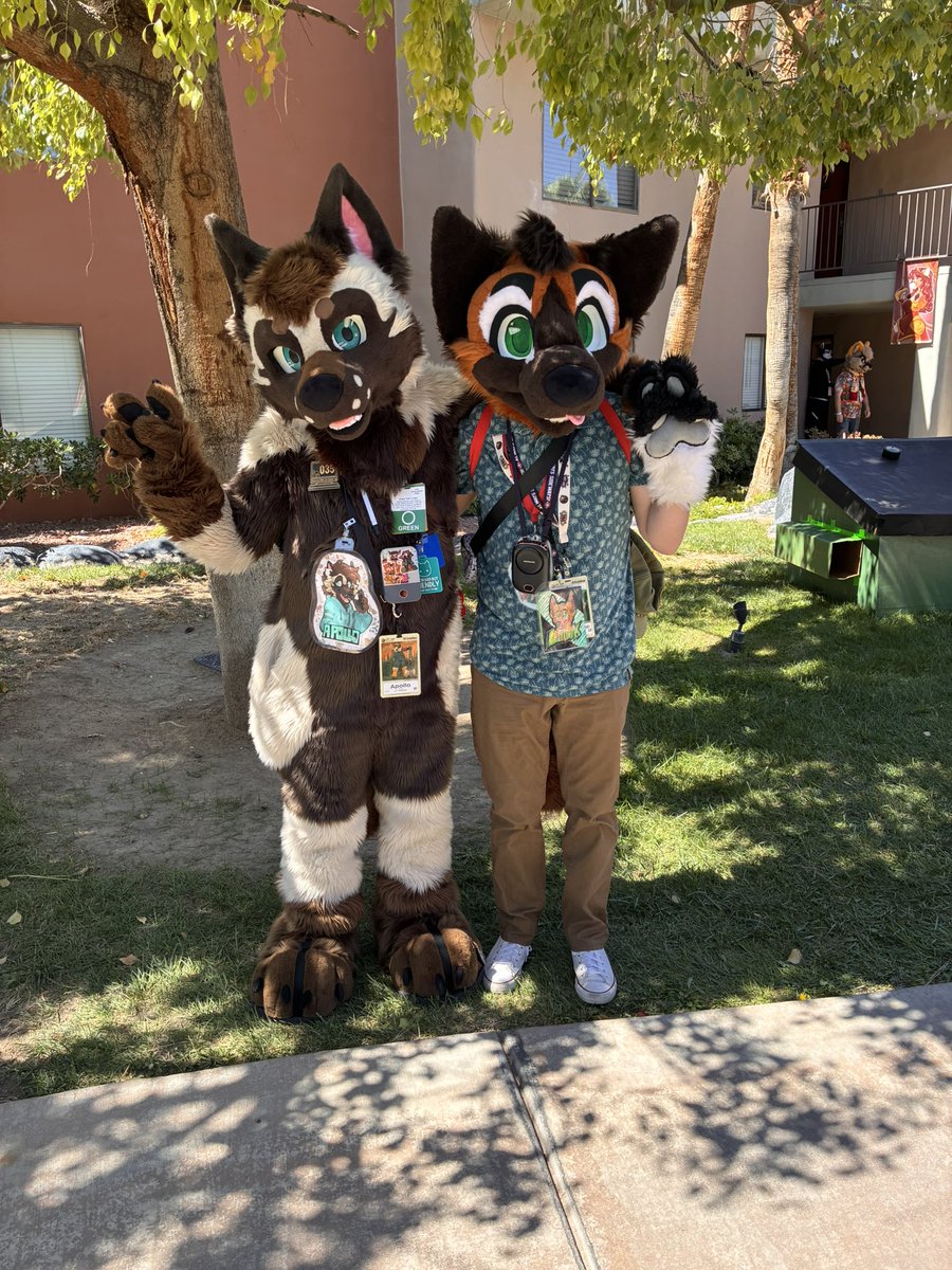 Link! 🐾 tweet media