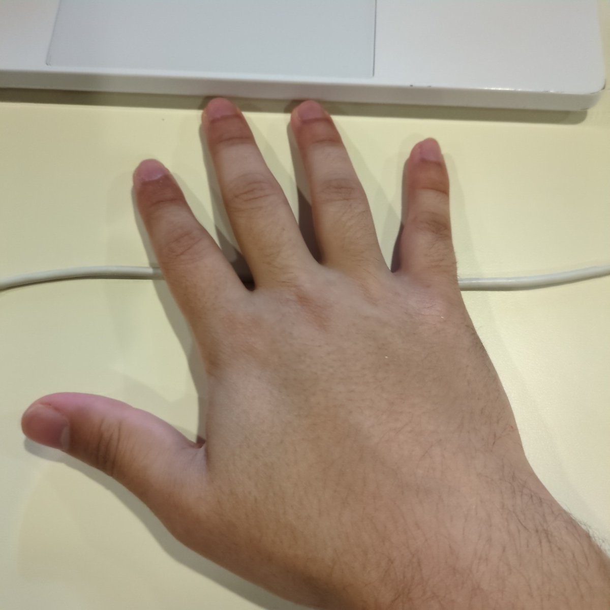 Nathan Vaz tweet media