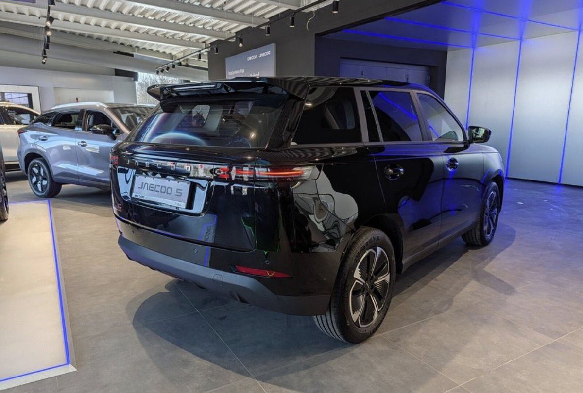 GallusWen tweet media