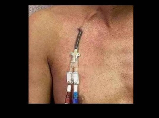 Doctor Chichi🩺 tweet media