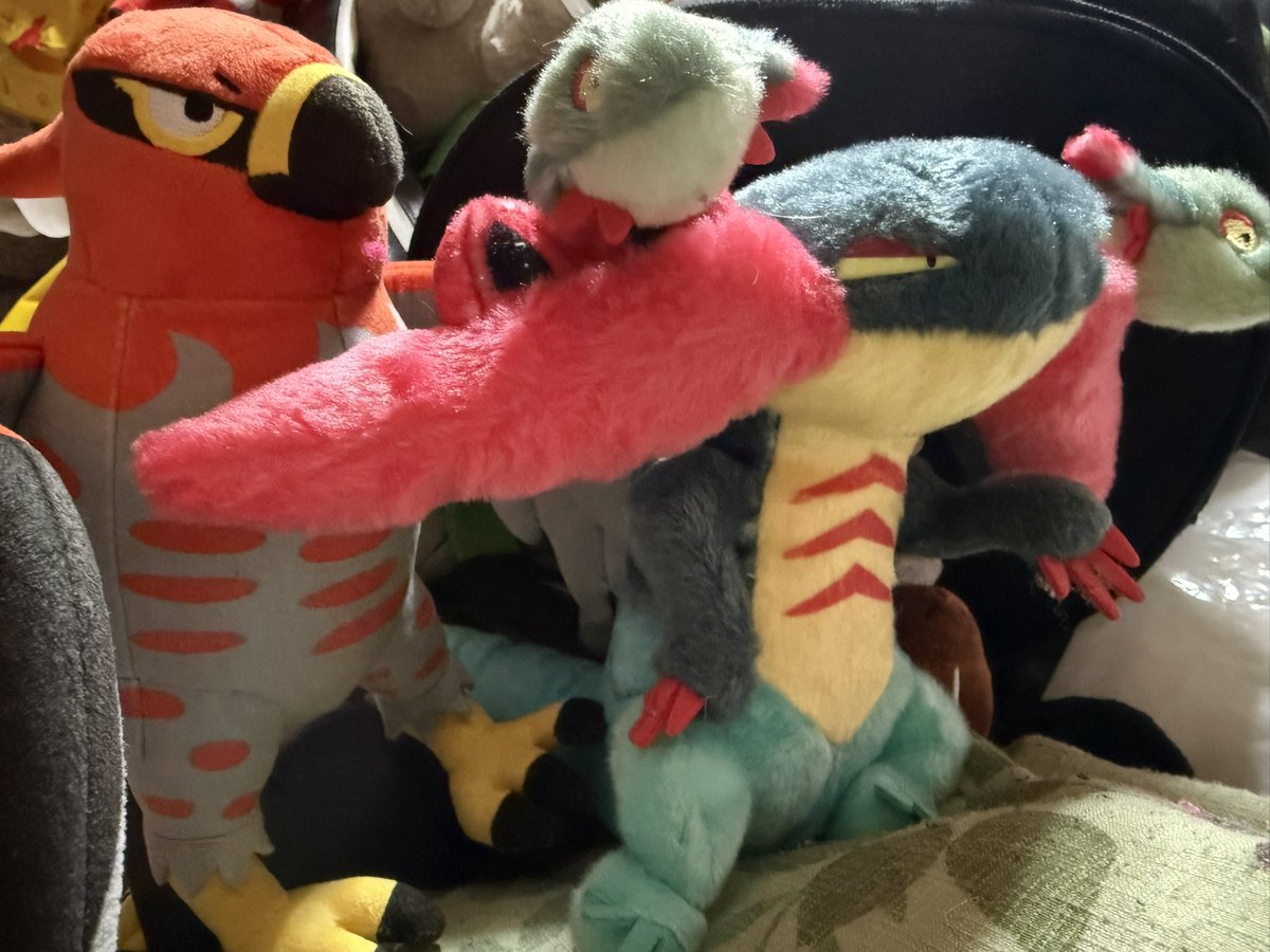 しゃちょぬ🏍二本傷の黒Nin者 tweet media