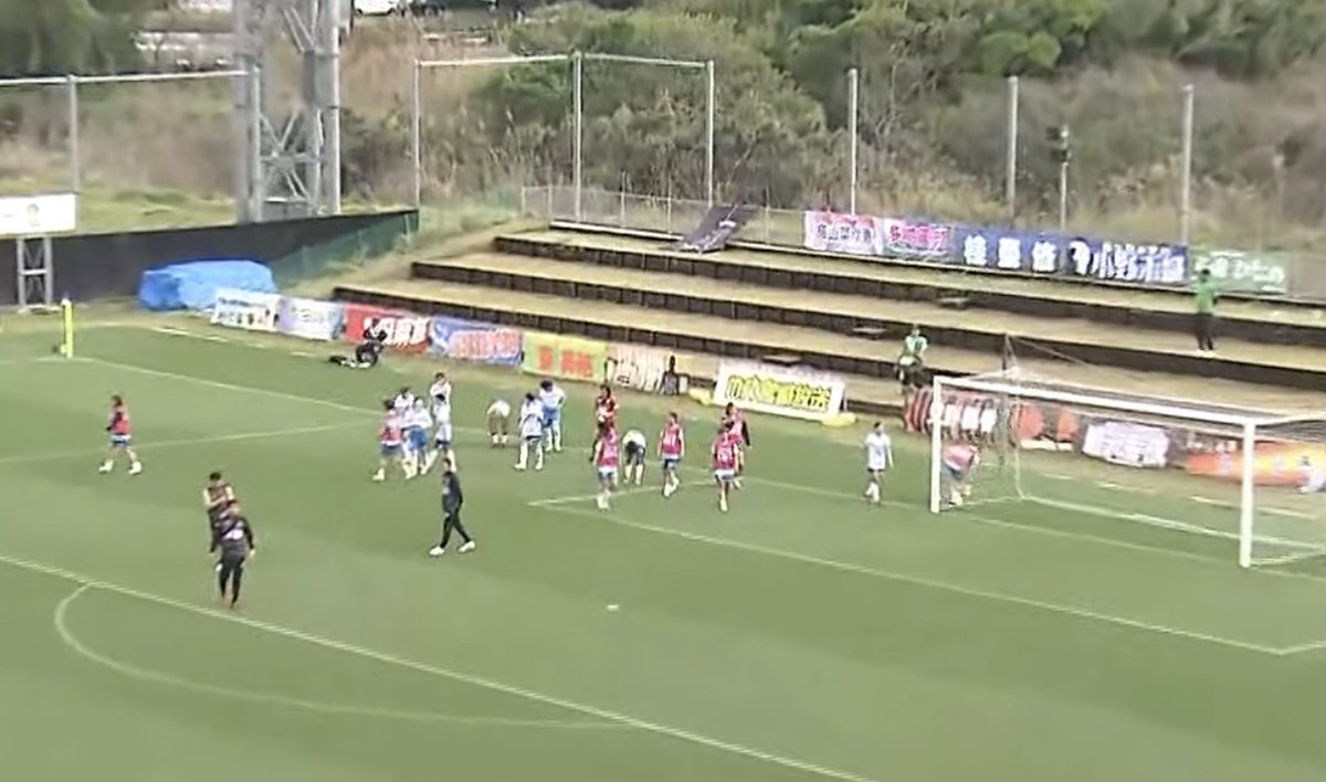 NavyBlueWasp tweet media