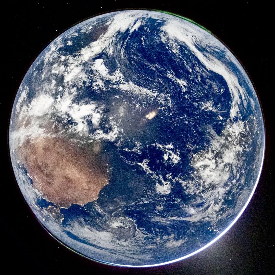 William Wilkinson tweet media