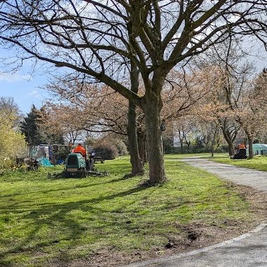 Robert Allotment cat,now helped by Janet & Amanda tweet media
