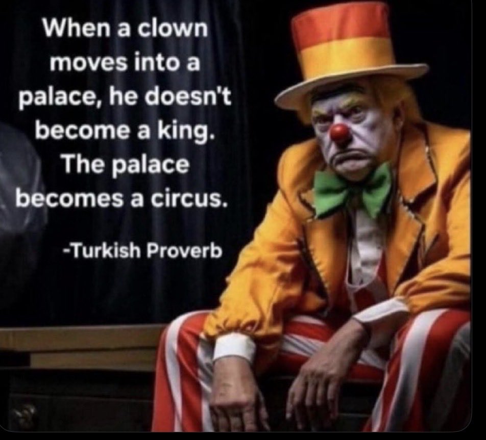 Cindi M. tweet media