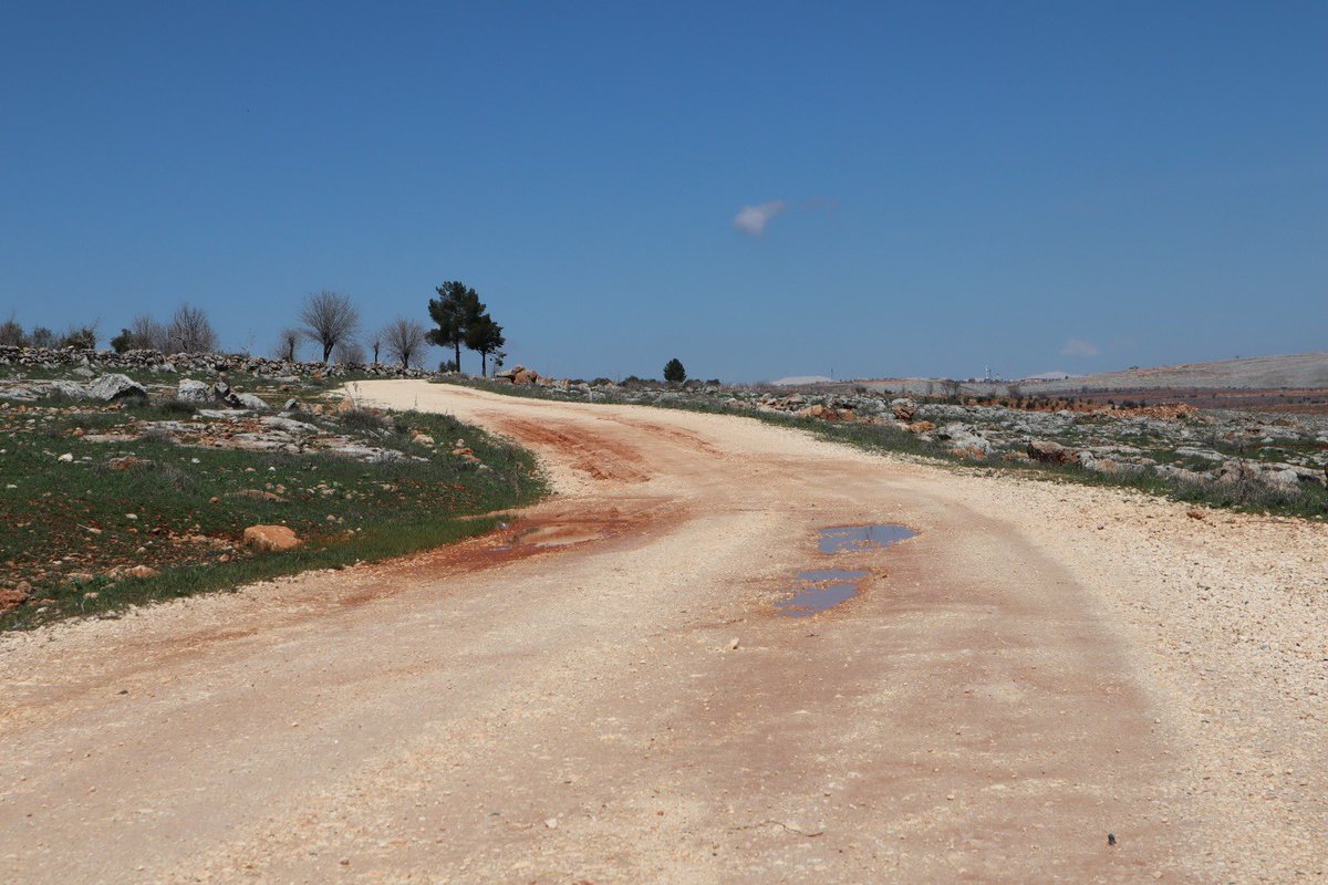 Reyhan Hacıoğlu tweet media