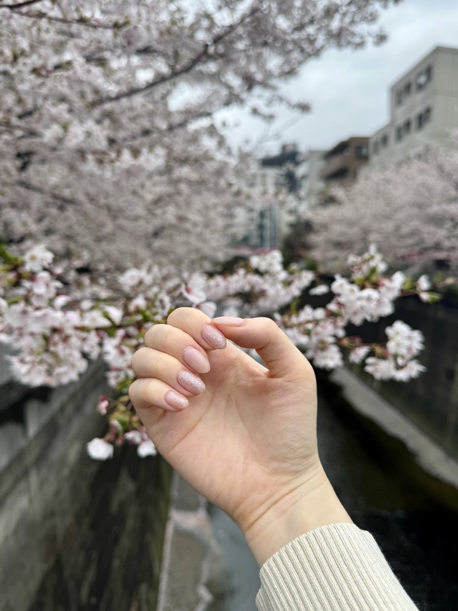 ゆうか🎀18w tweet media