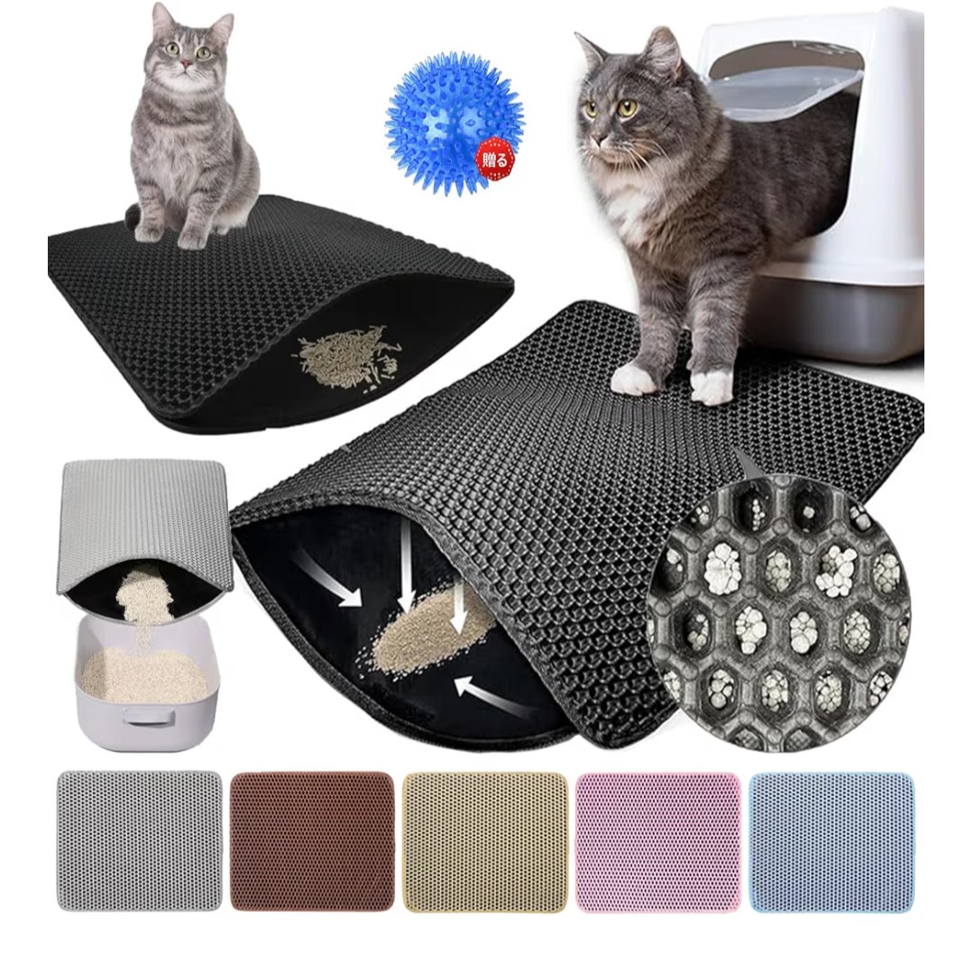 くみこ🐾 tweet media