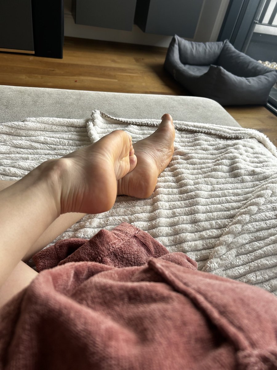 Sophia Pedes tweet media