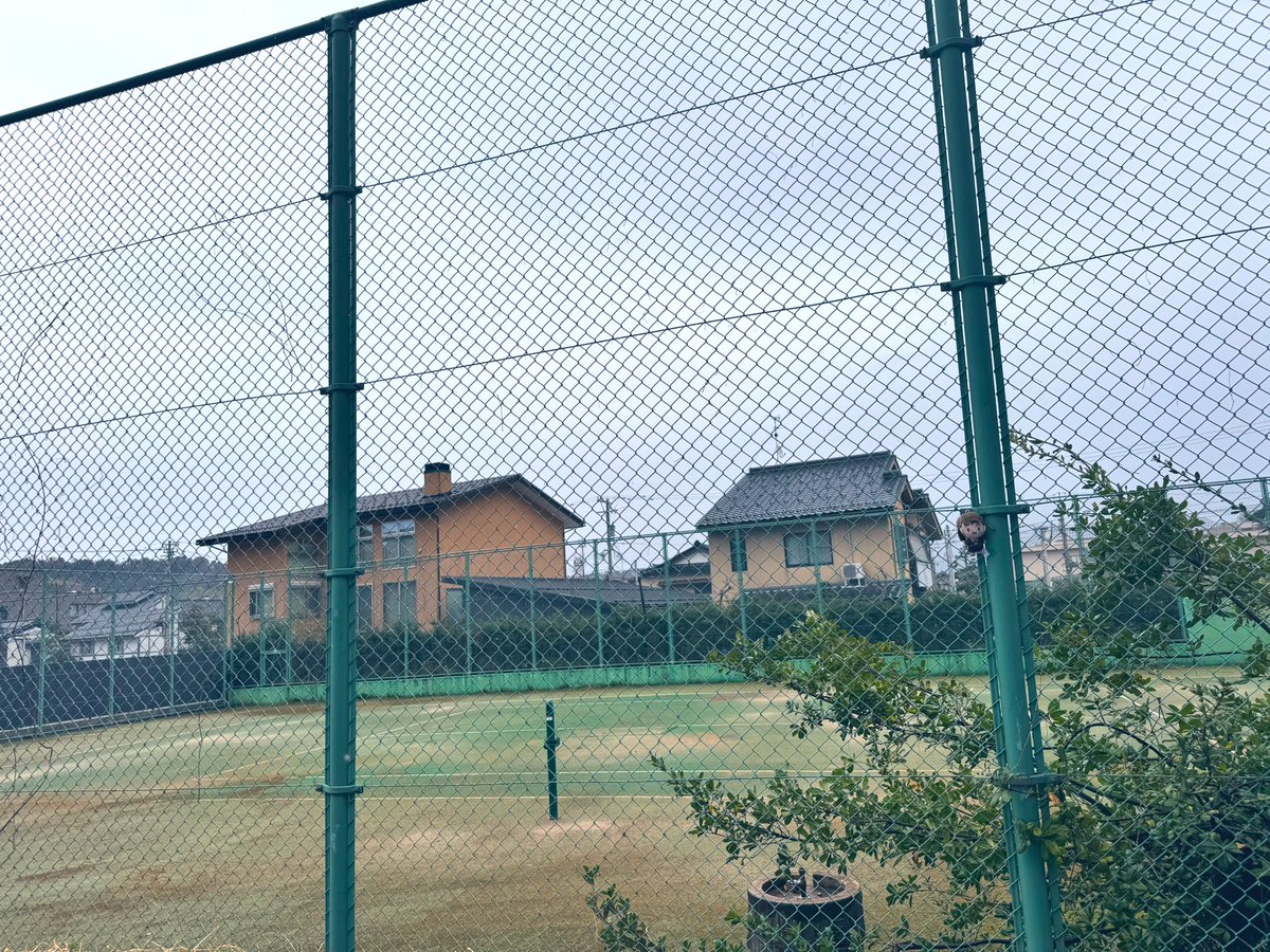 うゆ💎 tweet media