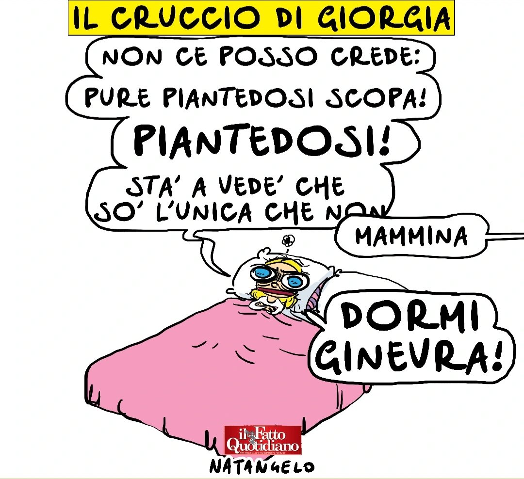 Natangelo tweet media