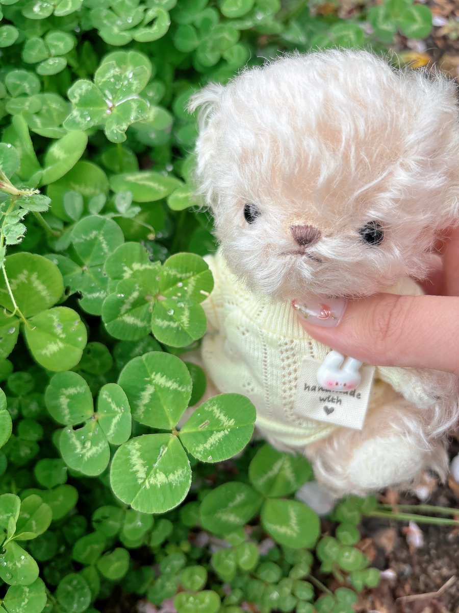 とんじる tweet media