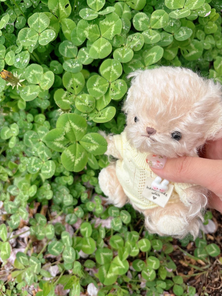 とんじる tweet media