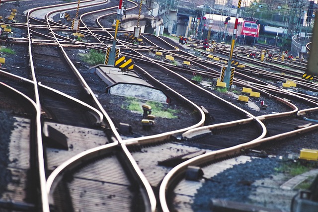 Tanya Perry tweet media