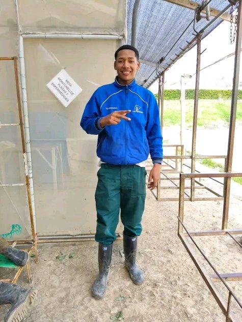 HETERO ENGAÑADO 🍆 tweet media