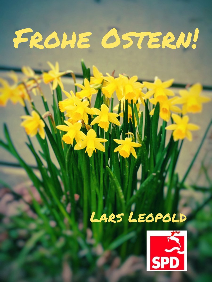 Lars Leopold tweet media