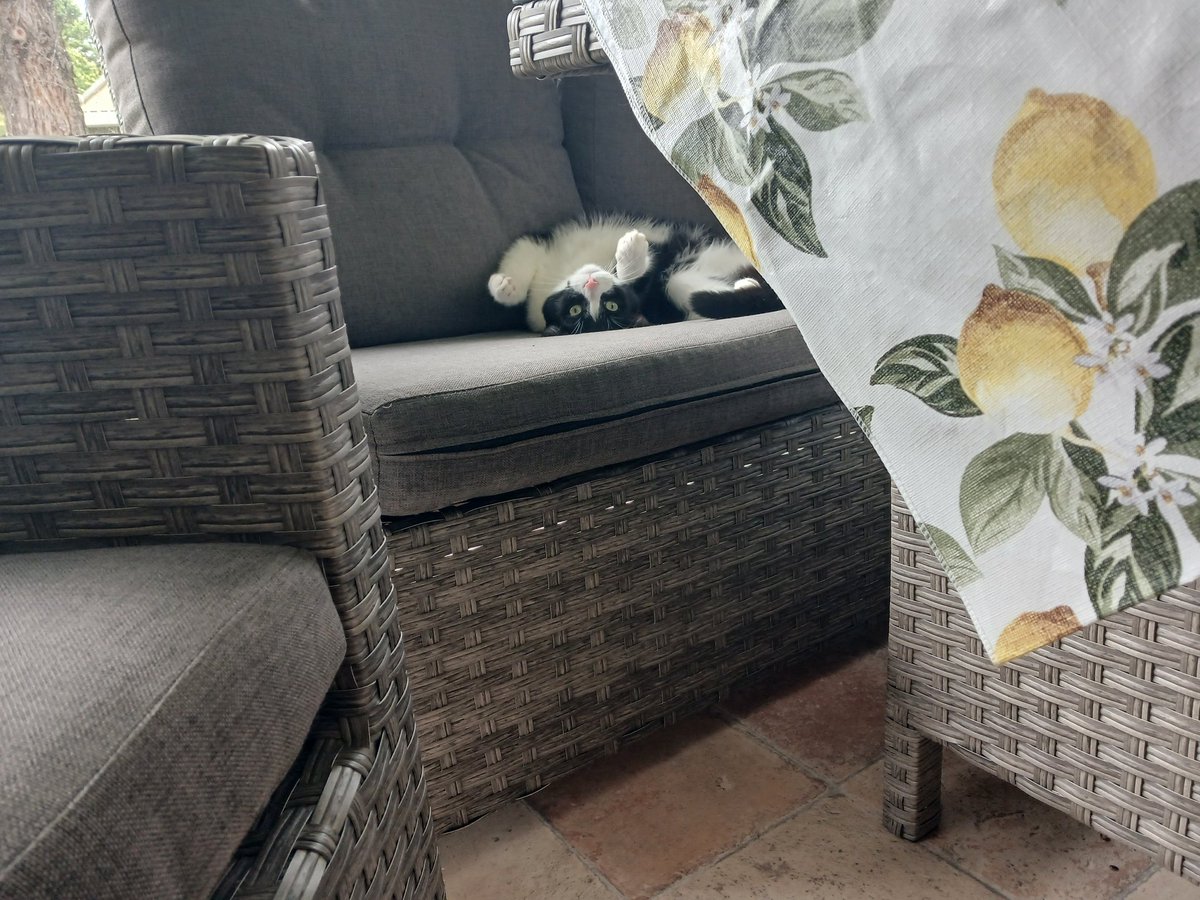 DragonDNA 🏍️💥 tweet media