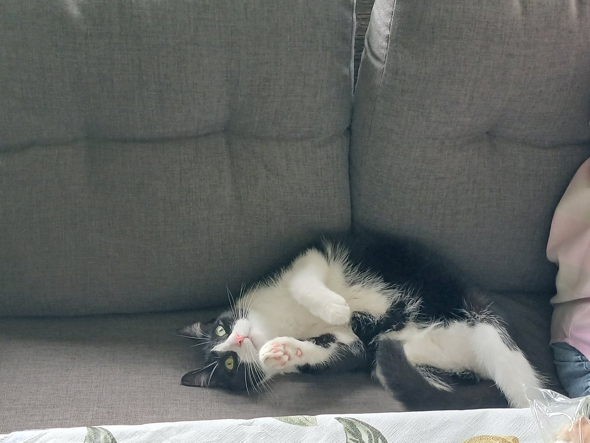 DragonDNA 🏍️💥 tweet media