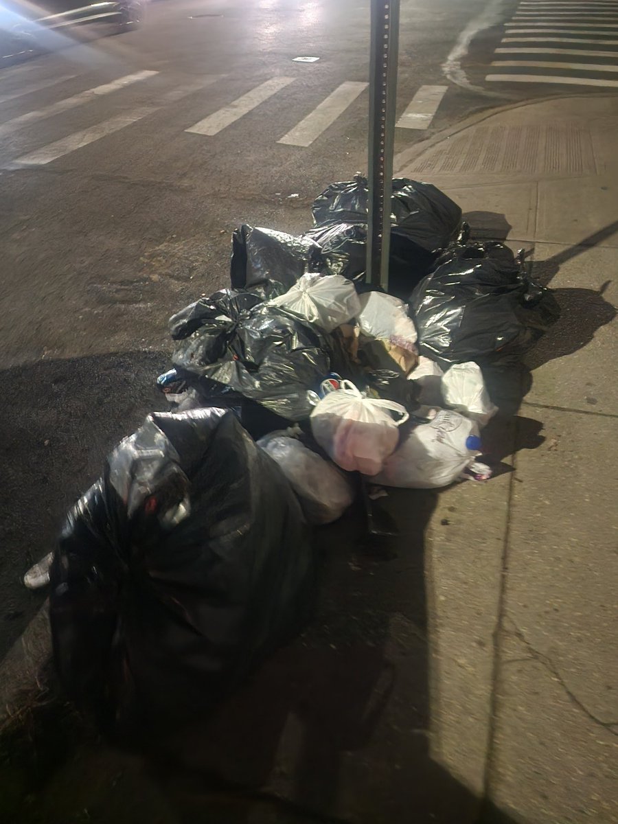 NittyRegulator's tweet photo. This is a on going nuisance @NYCSanitation. Lenox rd between Remsen ave and E 57th st Brooklyn. A camera needs to setup so y'all can catch who keeps doing these dumpouts‼️ https://t.co/S19vt5tlQP