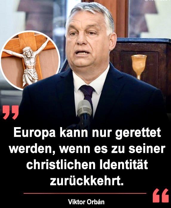 Perle des Ozeans tweet media