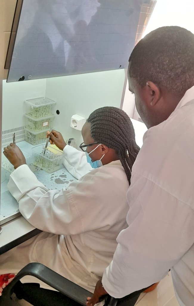 Alexis Nyandwi tweet media