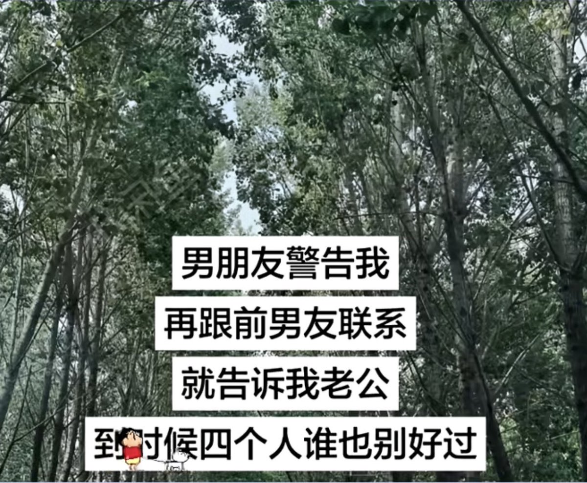 软苏格拉底 tweet media