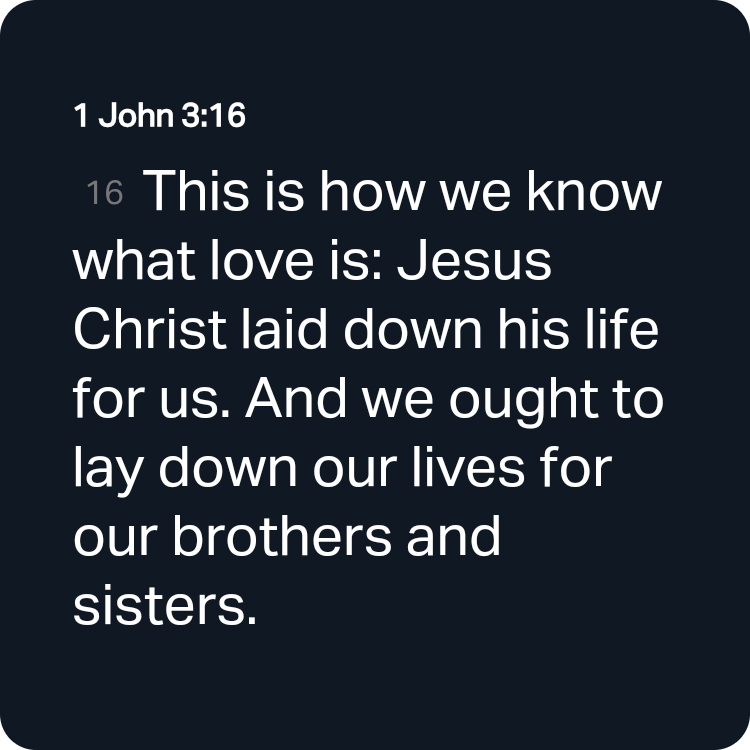 David Seth tweet media