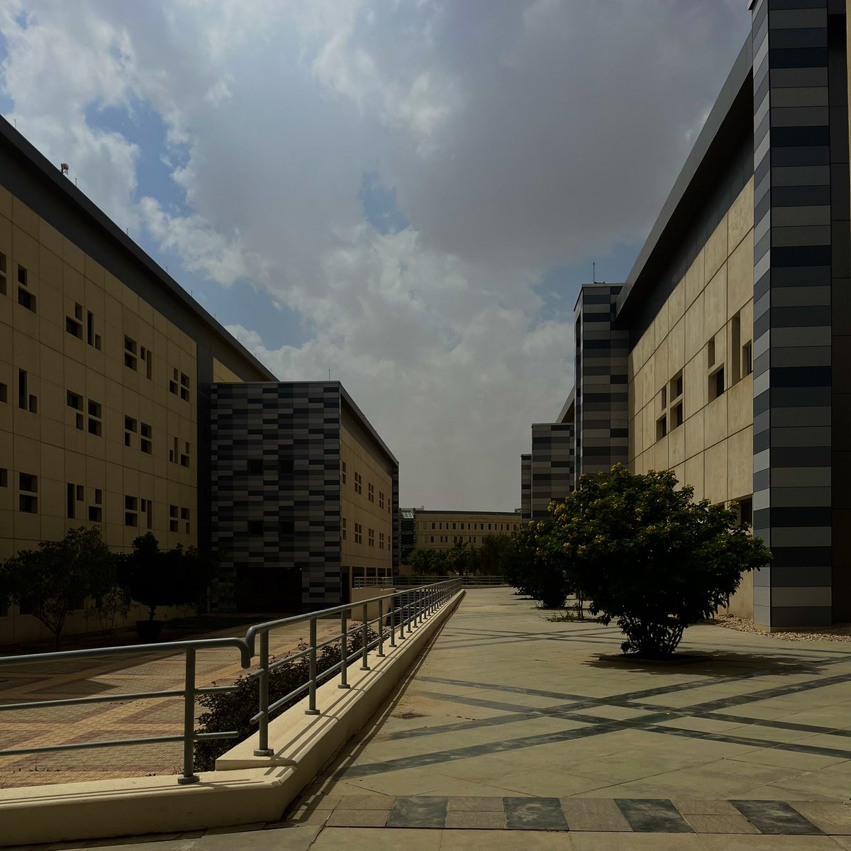 RAD. جميلة 🎓 tweet media