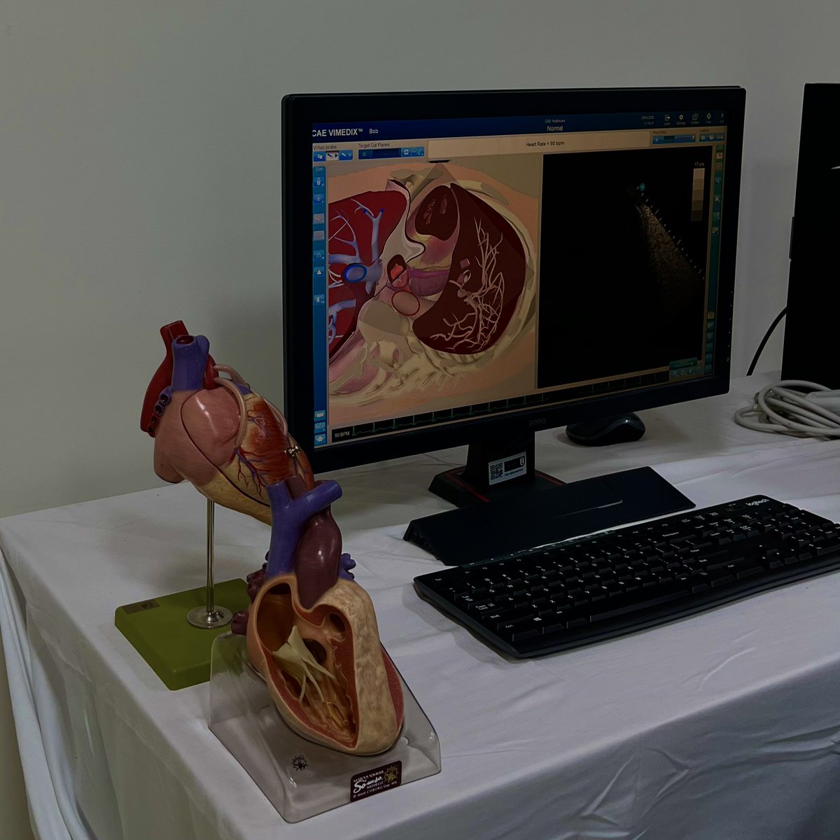 RAD. جميلة 🎓 tweet media