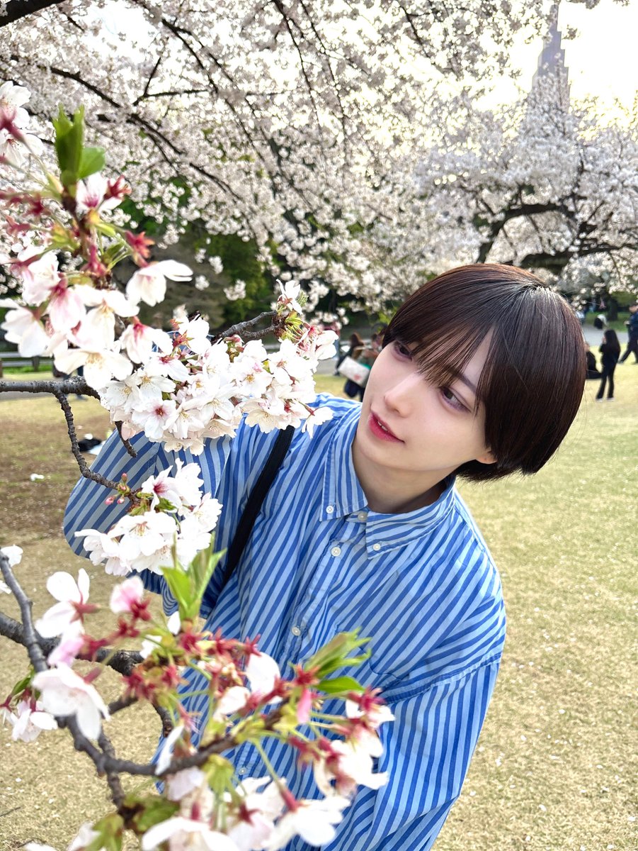 あおい tweet media