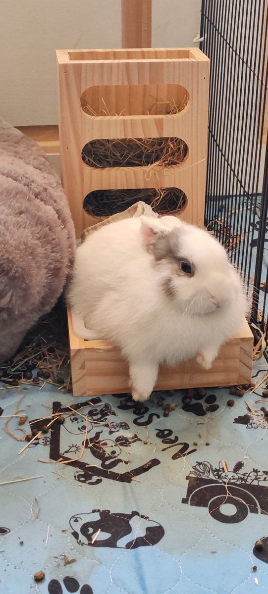 BenjiBurn tweet media