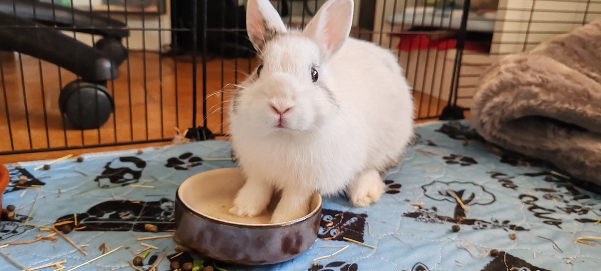 BenjiBurn tweet media