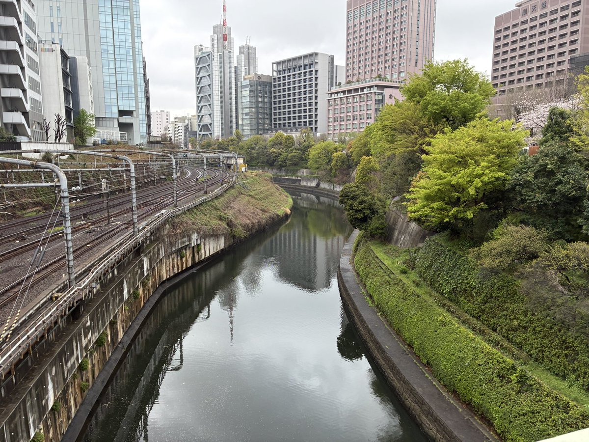 みなみしま tweet media