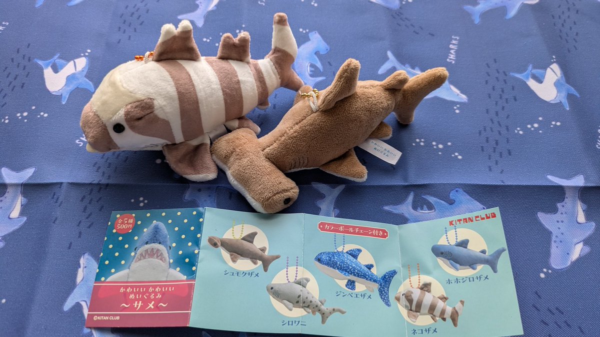 samesukiya's tweet photo. かわいいかわいいぬいぐるみというサメのガチャ発見。もっちりした��じでかわいい🦈 https://t.co/gP31y4qujd