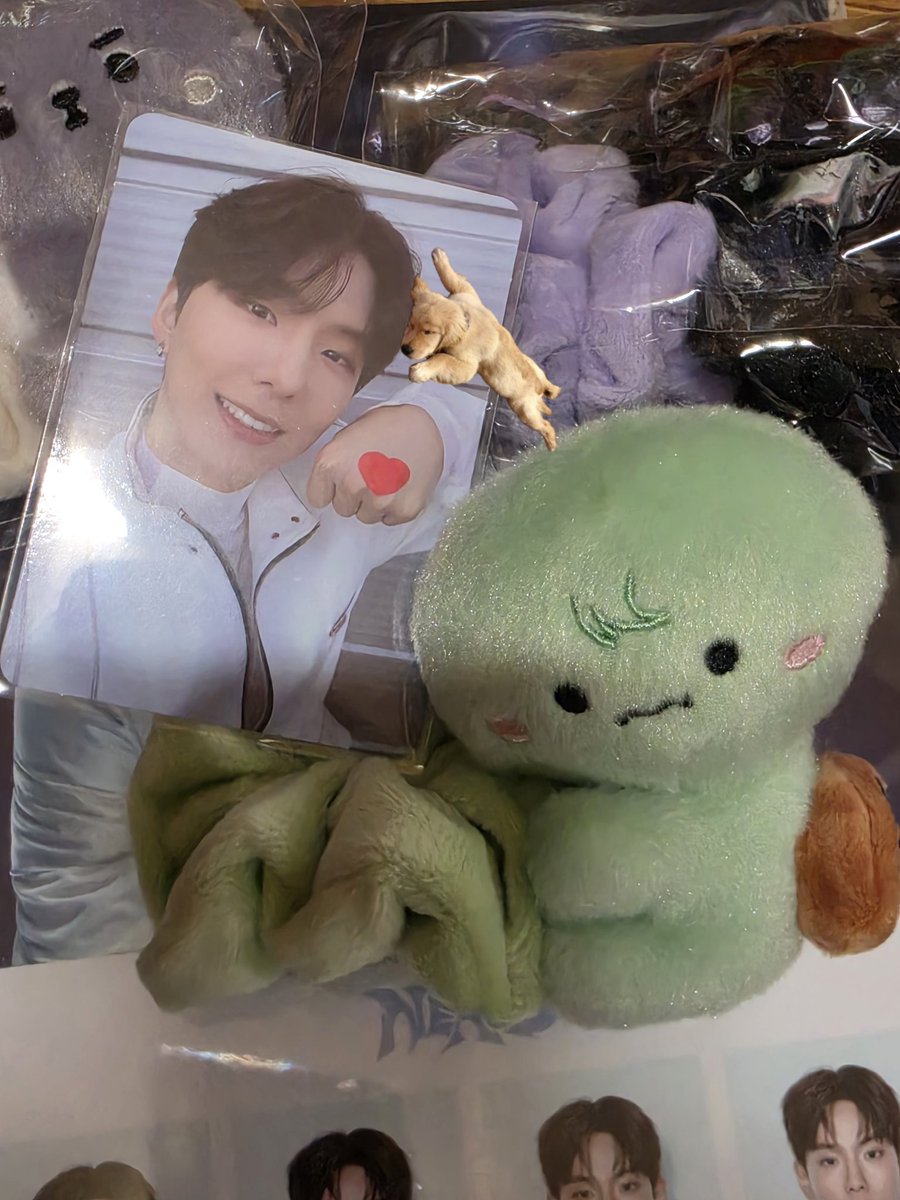 파트라슈 🎗 tweet media