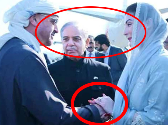 StnStbrnStlldy 4 tweet media