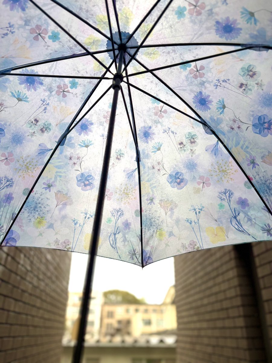 きょんし tweet media