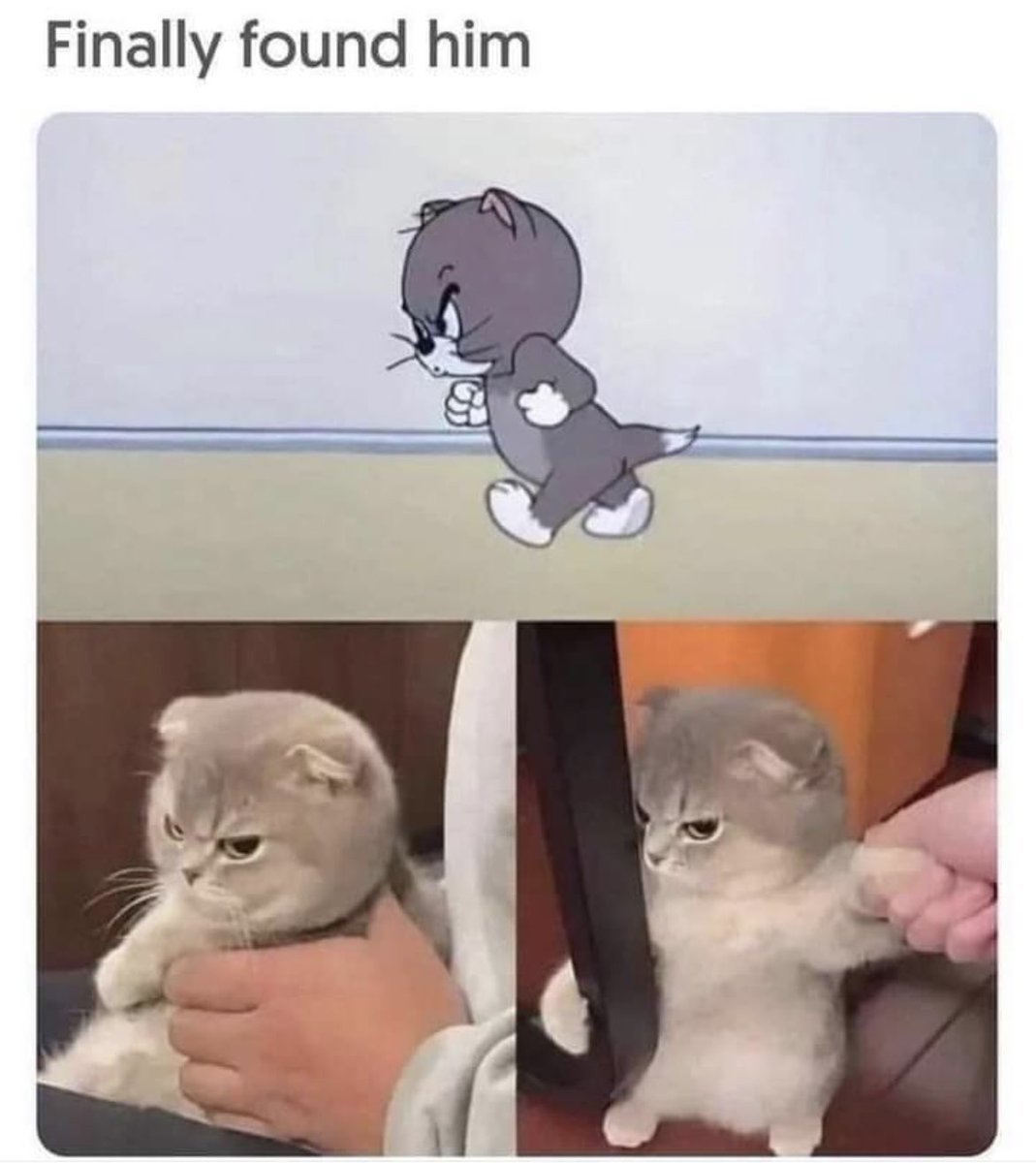 Community Notes & Violations tweet media