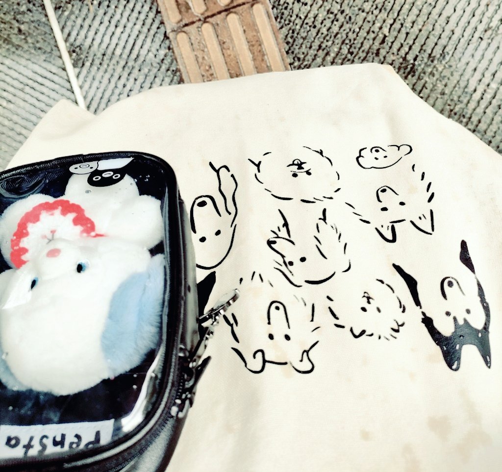 びすこ🍼 tweet media