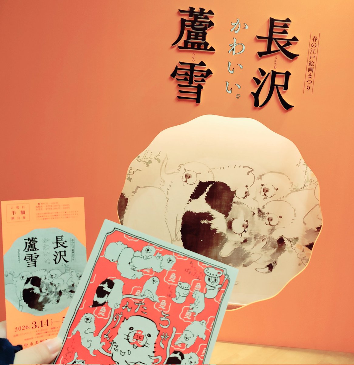 びすこ🍼 tweet media