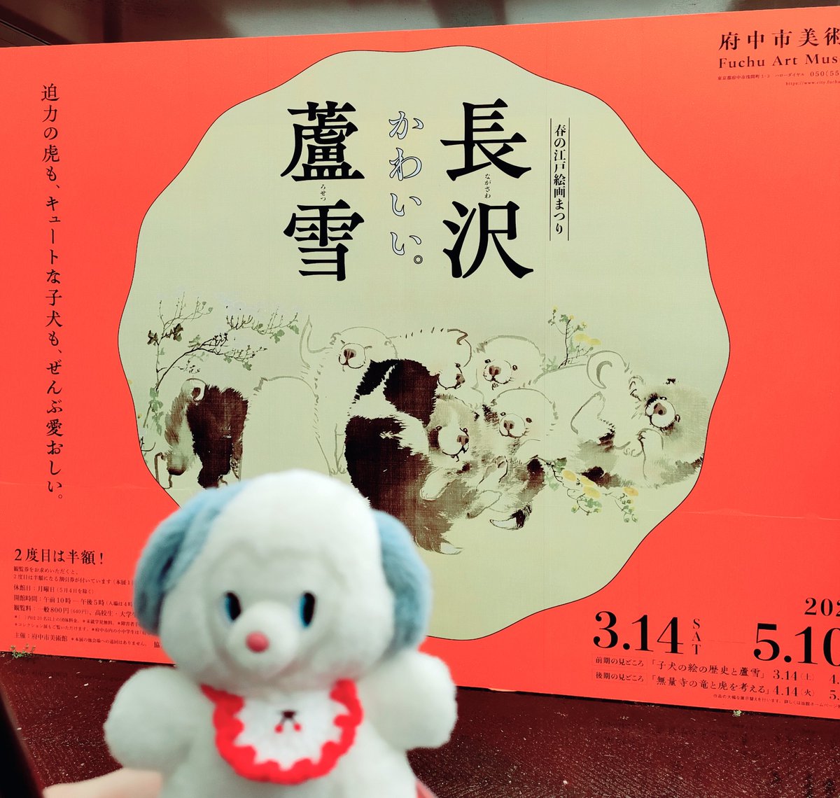 びすこ🍼 tweet media