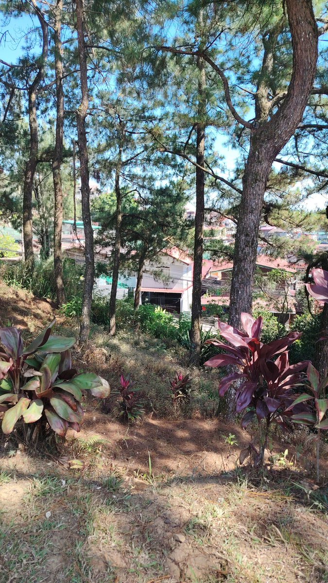 jh@red366 tweet media